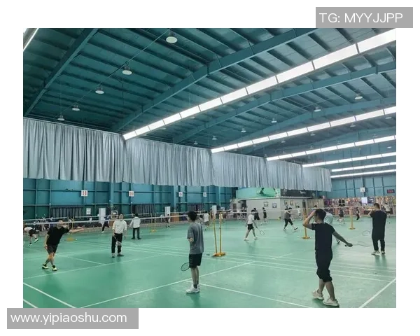 专业解读：重庆羽毛球队的反击打法